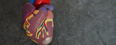 Всесвітній день серця: як розпізнати інфаркт і знизити ризик його виникнення?