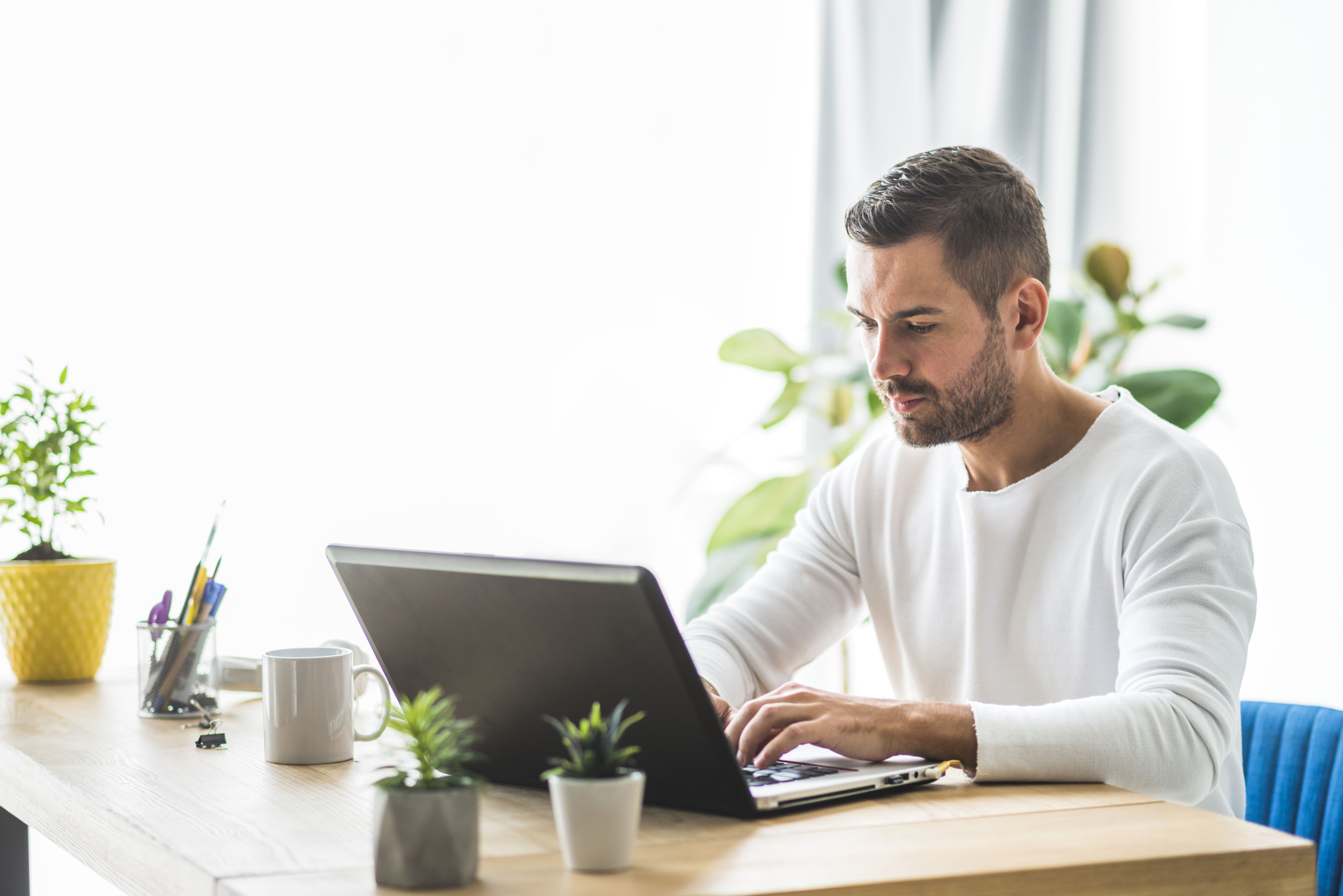 Businessman Working Laptop