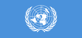 Організація Об’єднаних Націй – United Nations (UN)